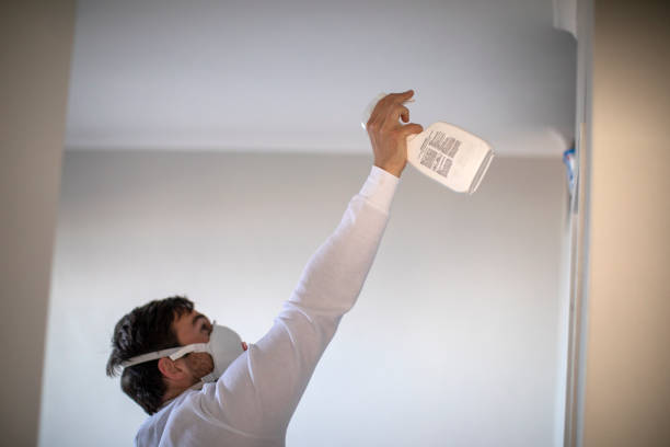 Best Residential Mold Remediation in Brookhaven, GA