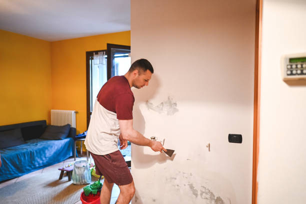Best DIY Mold Remediation Support Services in Brookhaven, GA
